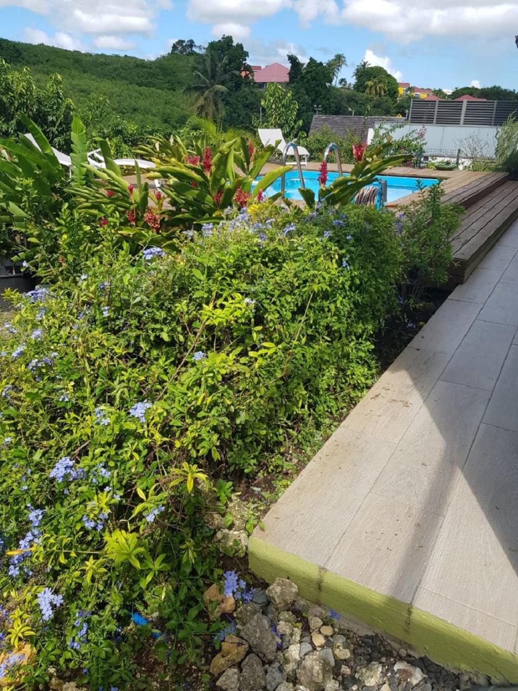 Studio Avec Piscine, A 3 Minutes A Pied Des Plages แซนต์-อาน ภายนอก รูปภาพ