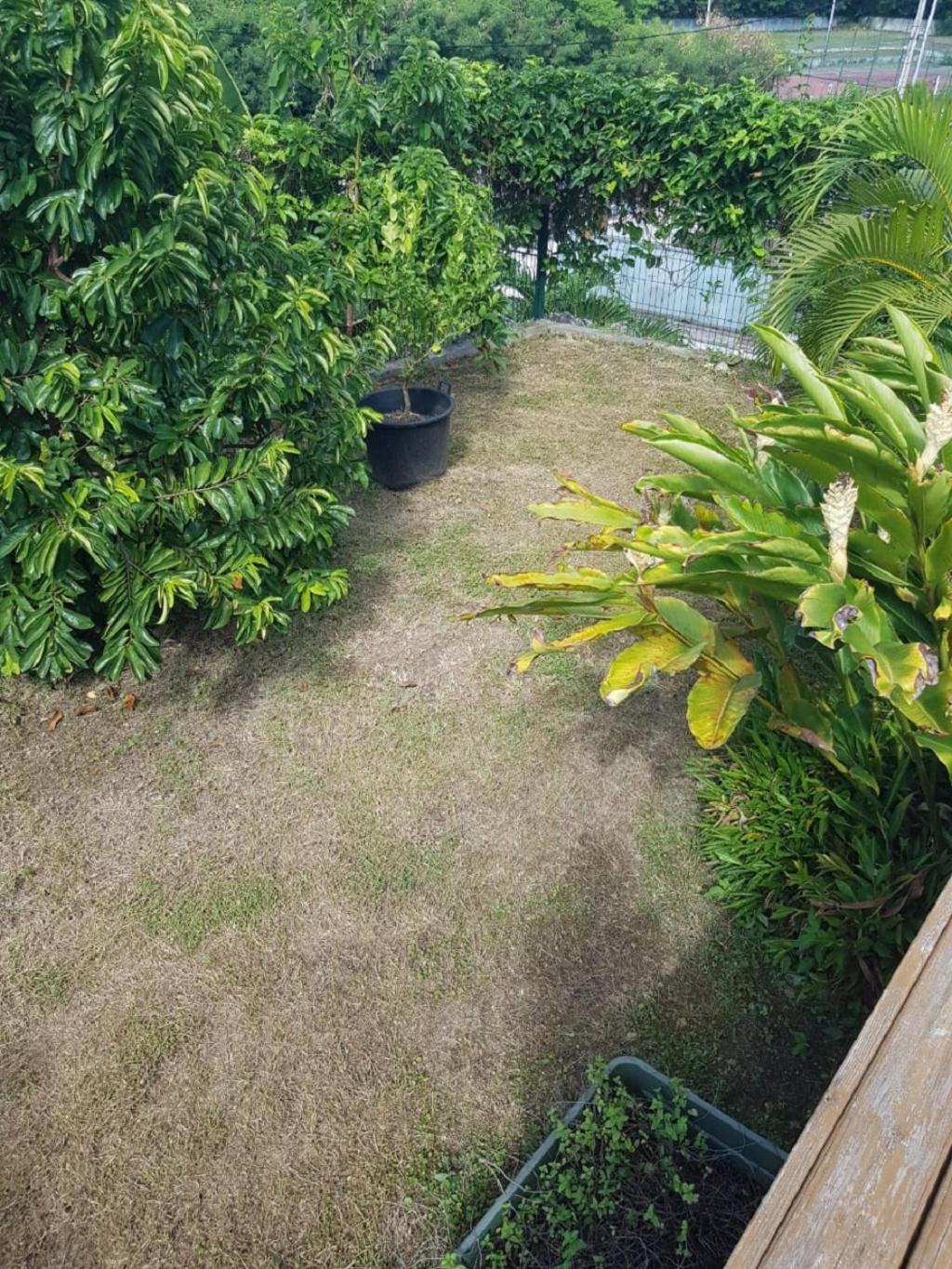 Studio Avec Piscine, A 3 Minutes A Pied Des Plages แซนต์-อาน ภายนอก รูปภาพ